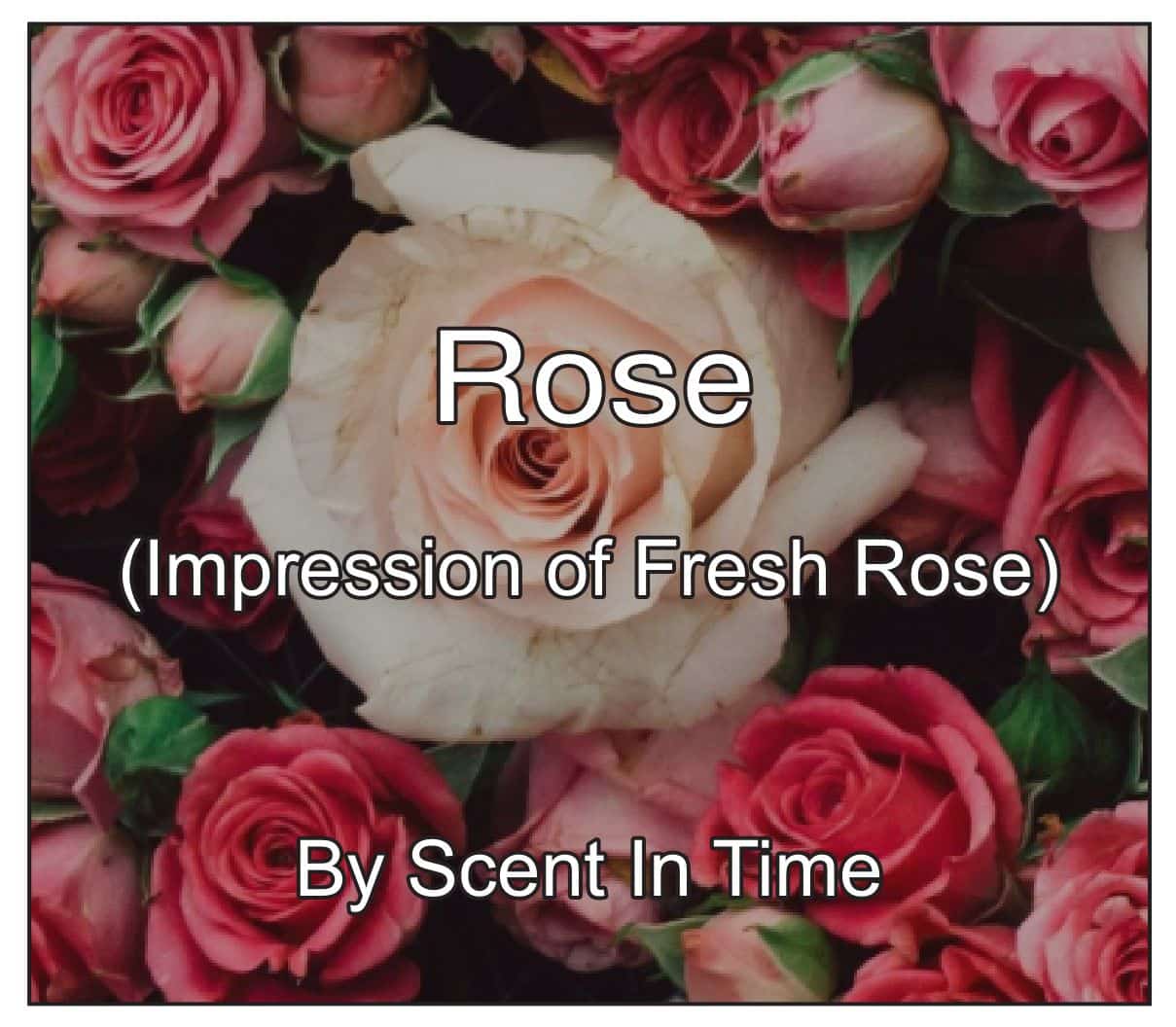 Rose (Inspired by fresh rose) 50 ML Perfume